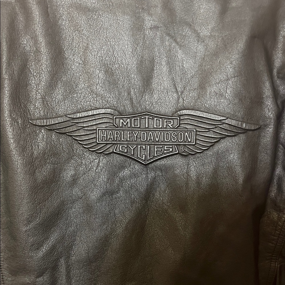Harley-Davidson Black Leather Jacket - Picture 12 of 14
